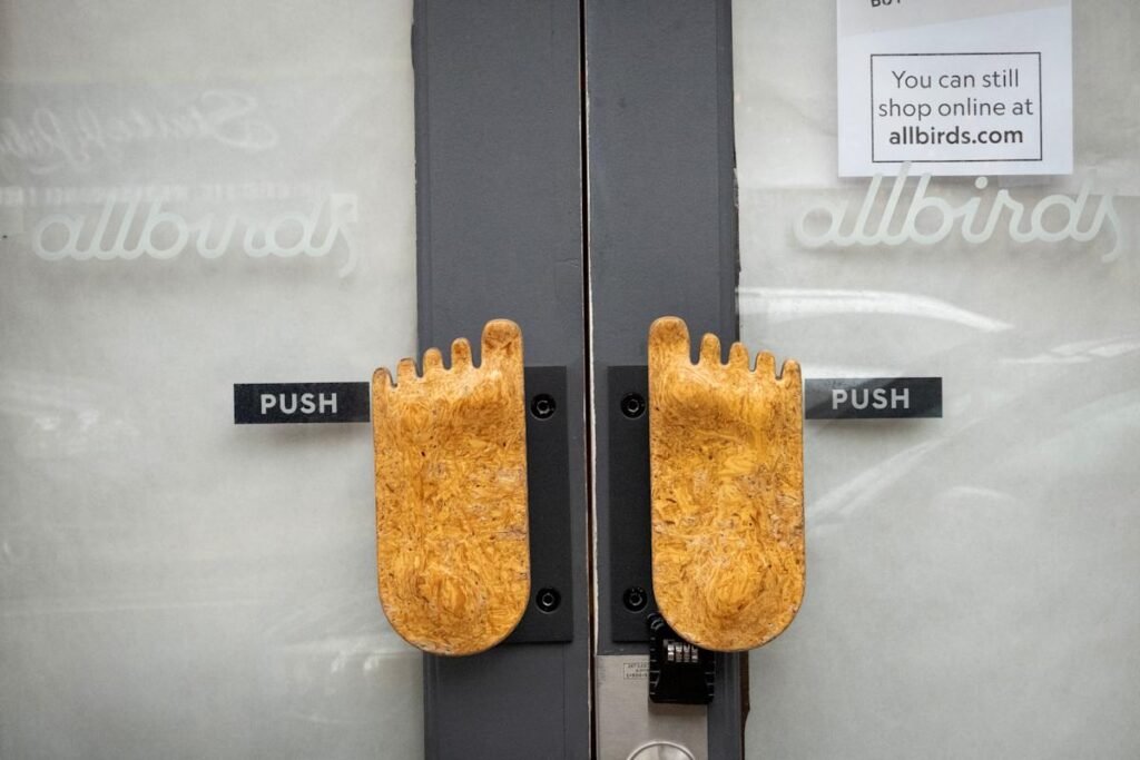 Allbirds vira "empresa de IA" e investidor corre para a saída