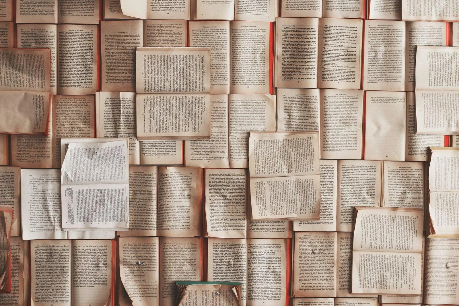 Empresas de IA estão destruindo livros raros para treinar modelos